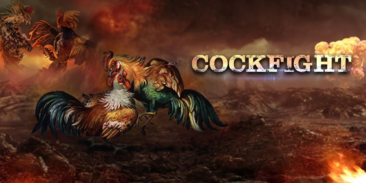 Tips Pasang Taruhan Sabung Ayam Lewat HP: Cepat, Aman, dan Langsung Cair